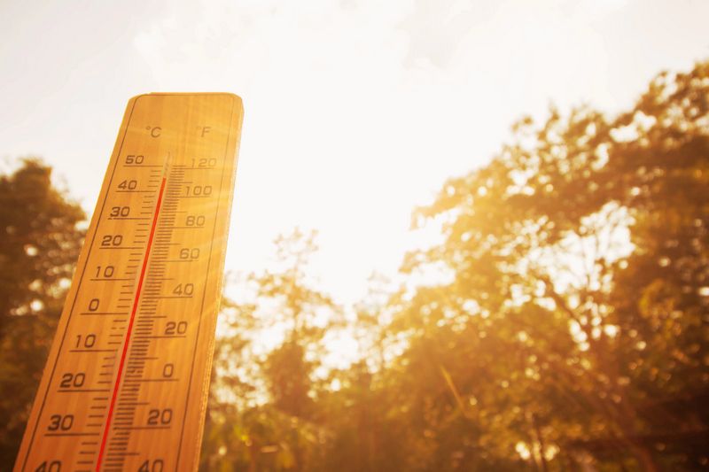 Chaleur accablante en Estrie : l’humidex grimpe jusqu’à 46